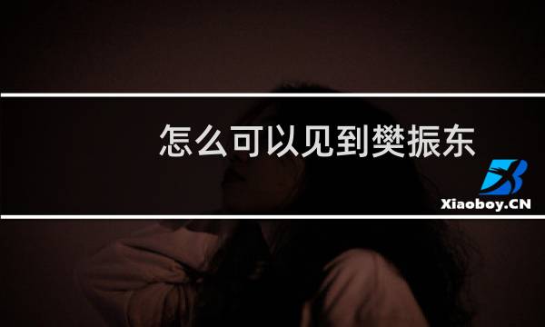 怎么可以见到樊振东