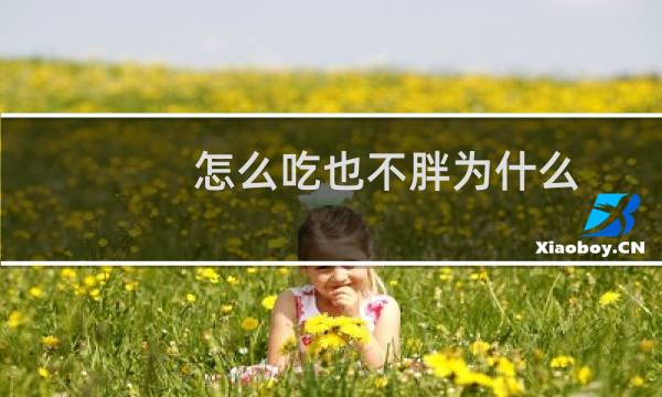 怎么吃也不胖为什么
