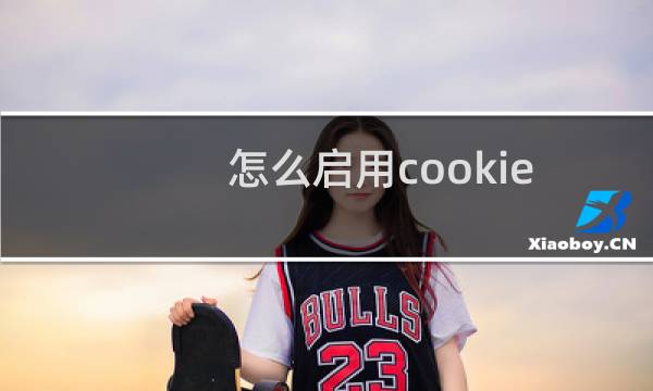 怎么启用cookies
