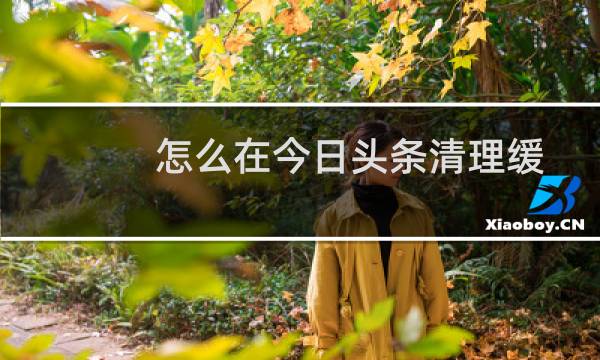 怎么在今日头条清理缓存?