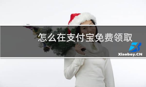 怎么在支付宝免费领取账户安全险？