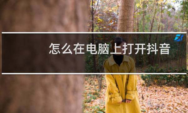 怎么在电脑上打开抖音