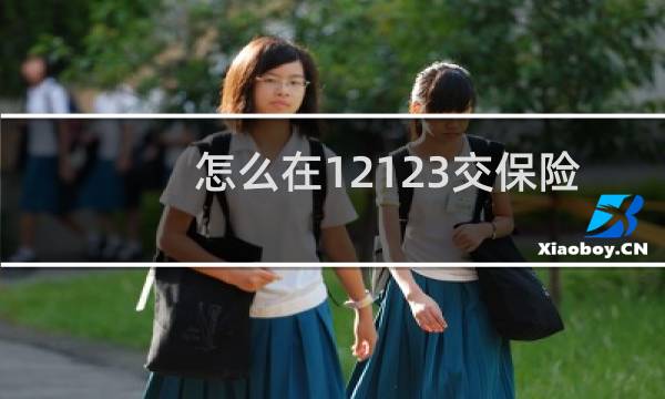 怎么在12123交保险图片