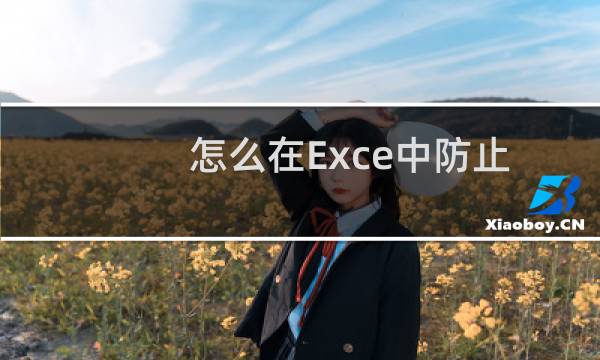 怎么在Exce中防止部分单元格被修改