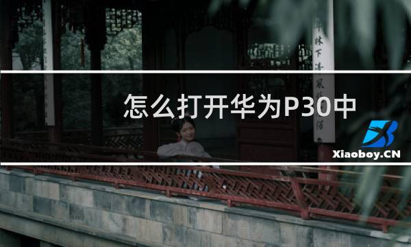 怎么打开华为P30中的查找手机功能