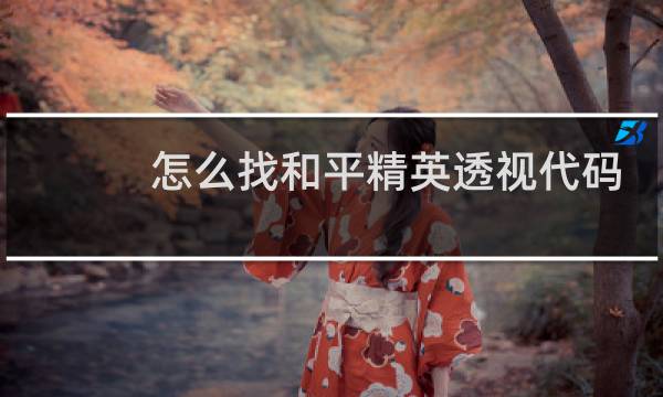 怎么找和平精英透视代码