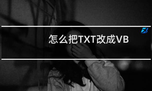 怎么把TXT改成VBS
