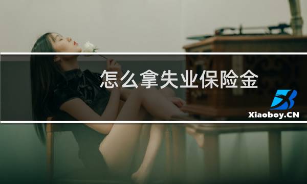 怎么拿失业保险金图片