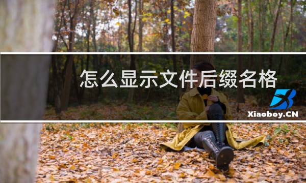 怎么显示文件后缀名格式（怎么显示文件后缀名）图片