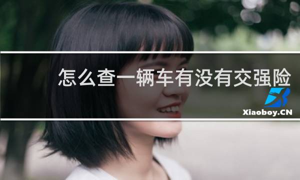 怎么查一辆车有没有交强险