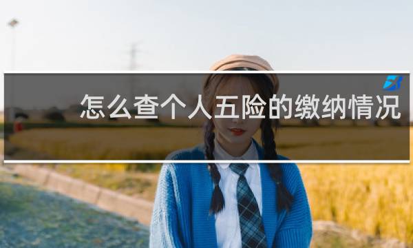 怎么查个人五险的缴纳情况图片