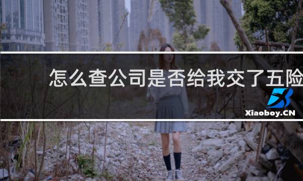 怎么查公司是否给我交了五险