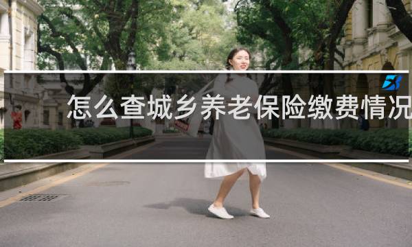 怎么查城乡养老保险缴费情况图片