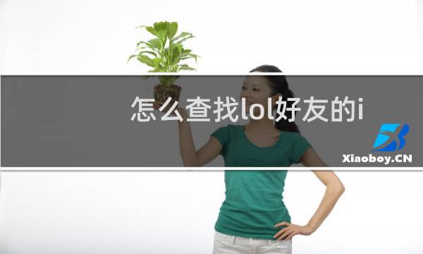 怎么查找lol好友的ip