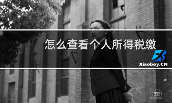 怎么查看个人所得税缴纳情况(个人所得税纳税记录如何查询)