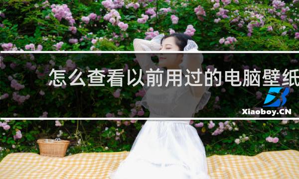 怎么查看以前用过的电脑壁纸