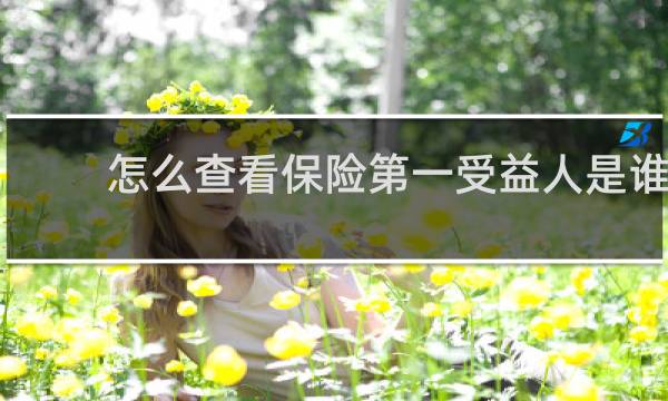 怎么查看保险第一受益人是谁