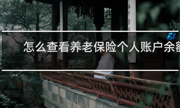 怎么查看养老保险个人账户余额