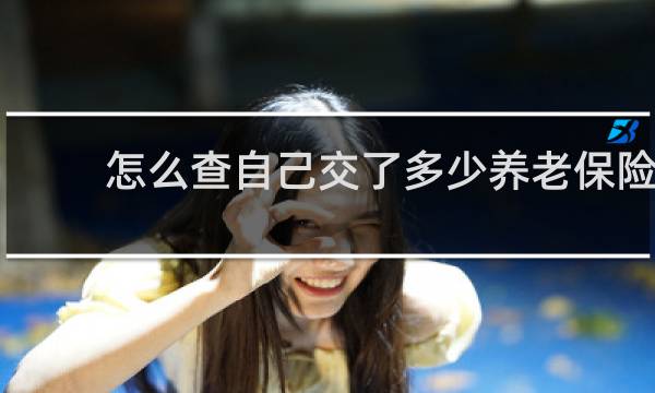 怎么查自己交了多少养老保险