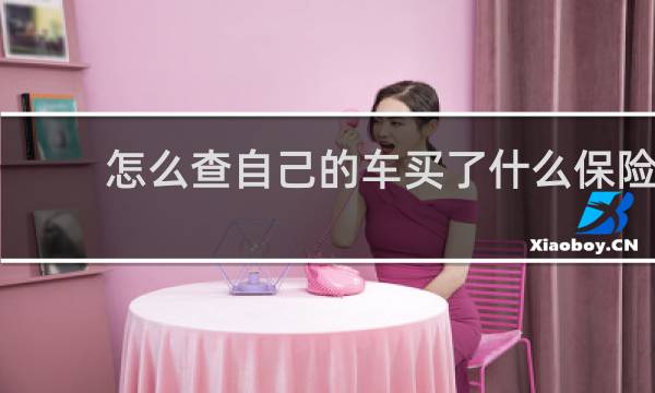 怎么查自己的车买了什么保险图片