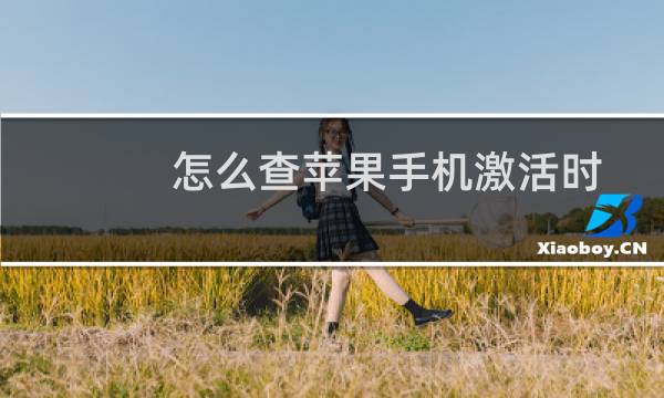 怎么查苹果手机激活时间和保修（怎么查苹果手机激活时间）图片