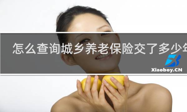 怎么查询城乡养老保险交了多少年了
