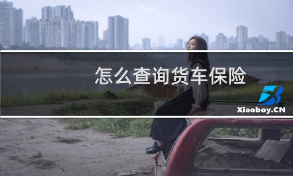 怎么查询货车保险