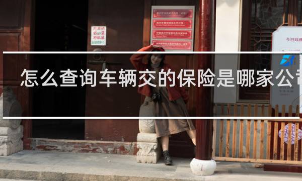 怎么查询车辆交的保险是哪家公司的
