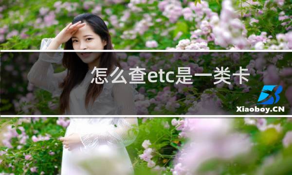 怎么查etc是一类卡