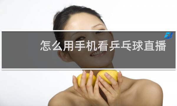 怎么用手机看乒乓球直播