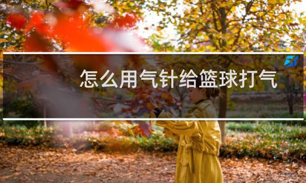 怎么用气针给篮球打气