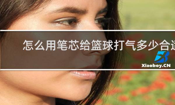 怎么用笔芯给篮球打气多少合适