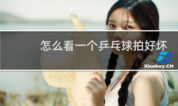 怎么看一个乒乓球拍好坏