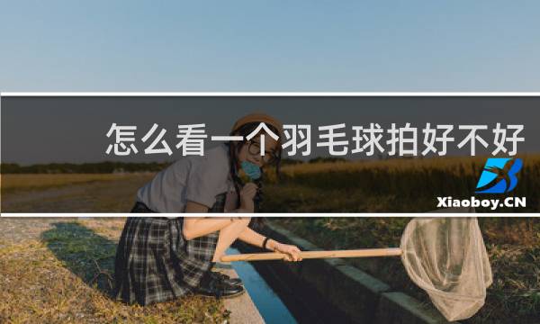 怎么看一个羽毛球拍好不好