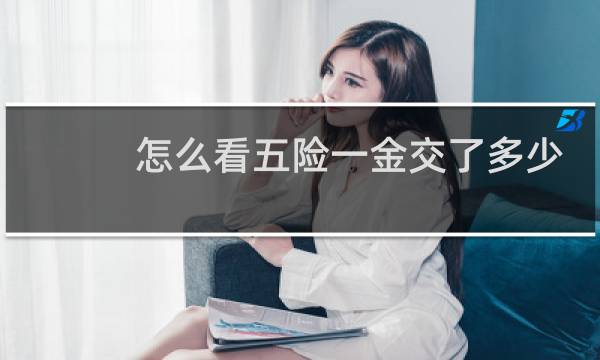 怎么看五险一金交了多少