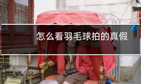 怎么看羽毛球拍的真假