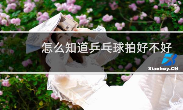 怎么知道乒乓球拍好不好