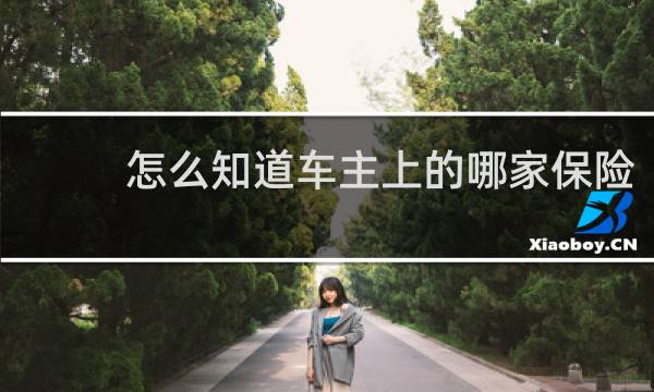 怎么知道车主上的哪家保险图片