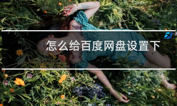 怎么给百度网盘设置下载并行的任务数