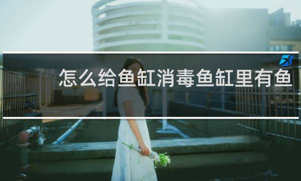 怎么给鱼缸消毒鱼缸里有鱼