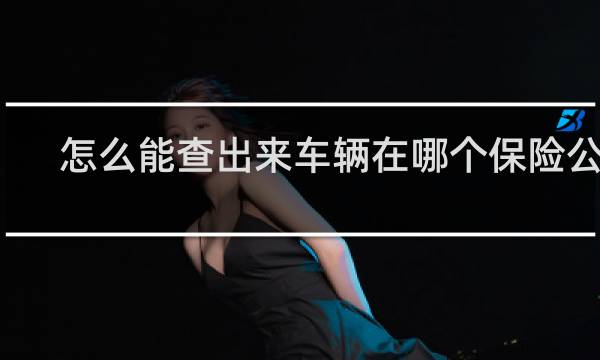 怎么能查出来车辆在哪个保险公司