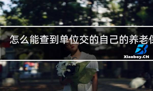 怎么能查到单位交的自己的养老保险图片