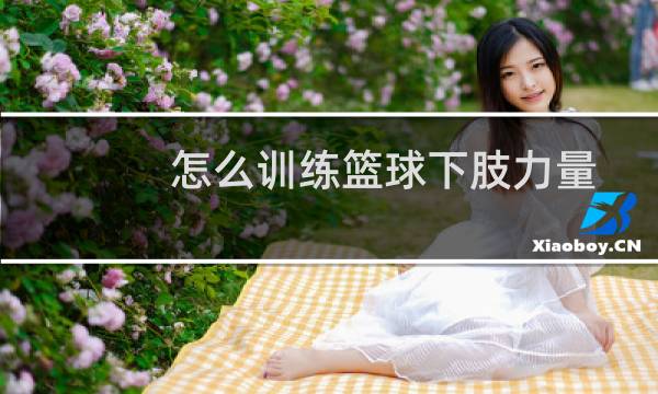 怎么训练篮球下肢力量