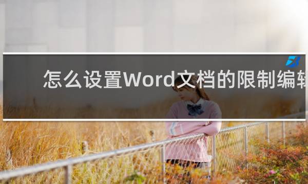 怎么设置Word文档的限制编辑