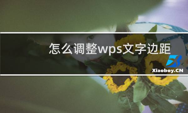 怎么调整wps文字边距