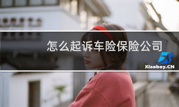 怎么起诉车险保险公司