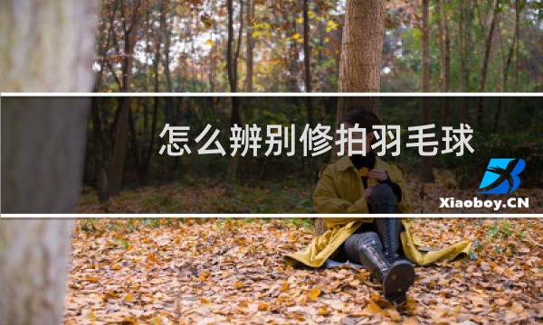 怎么辨别修拍羽毛球
