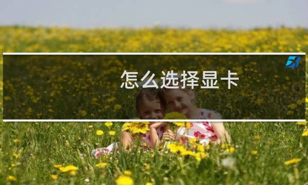 怎么选择显卡