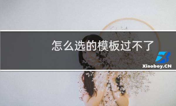 怎么选的模板过不了