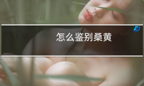 怎么鉴别桑黄